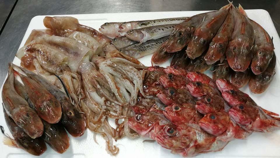 Hotel Ab Baretta Legnaro Zewnętrze zdjęcie